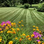 Professional Landscaping Services for York, PA Homes